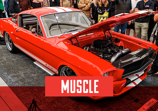 muscle